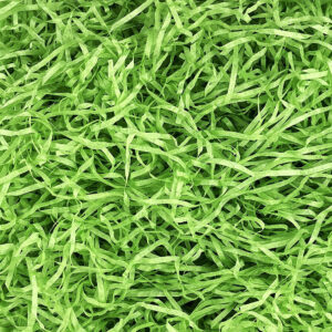 Green Paper Grass Filler