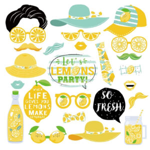 Lemon themed Photo booth party props